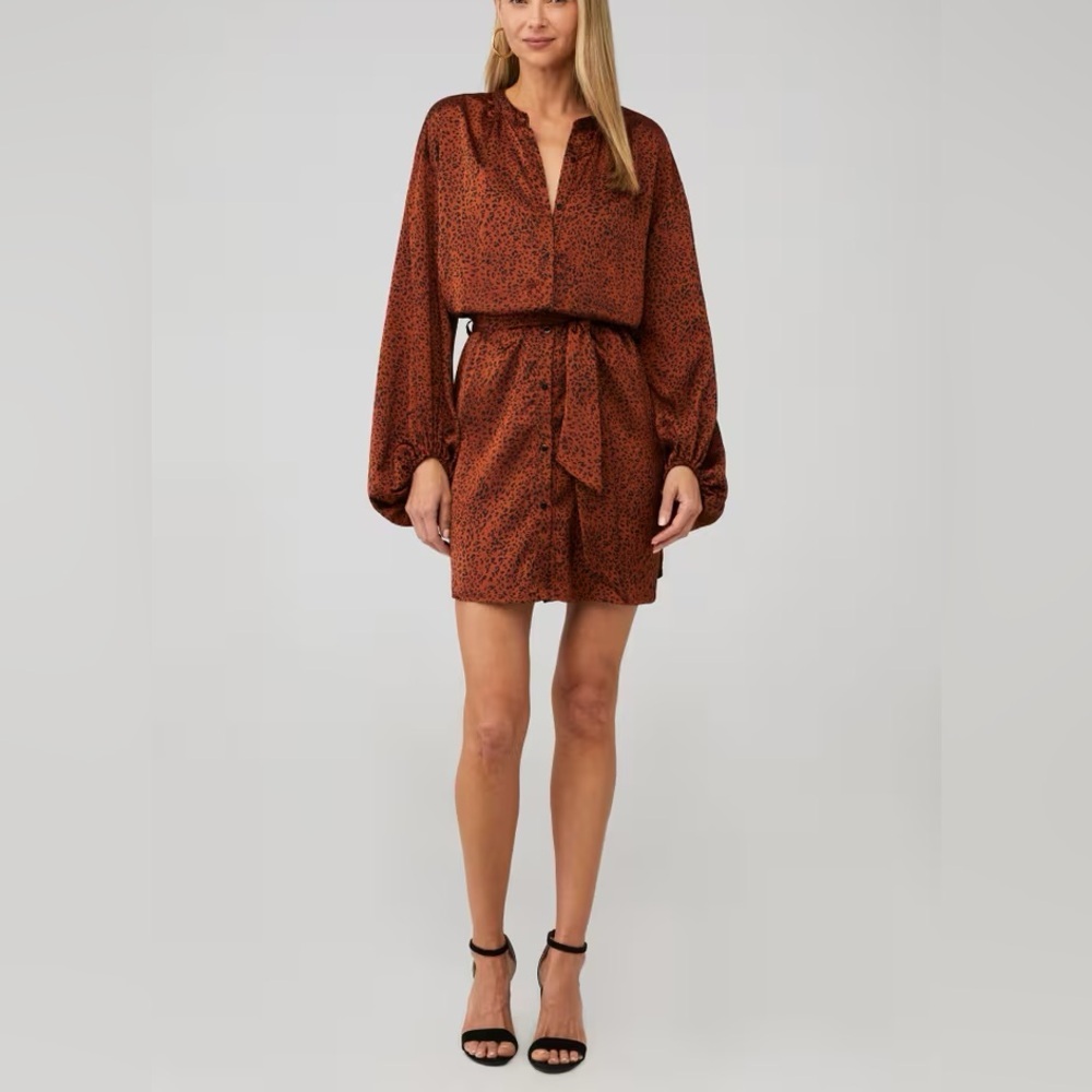 bishop + young Long Sleeve Leopard Rust Dress